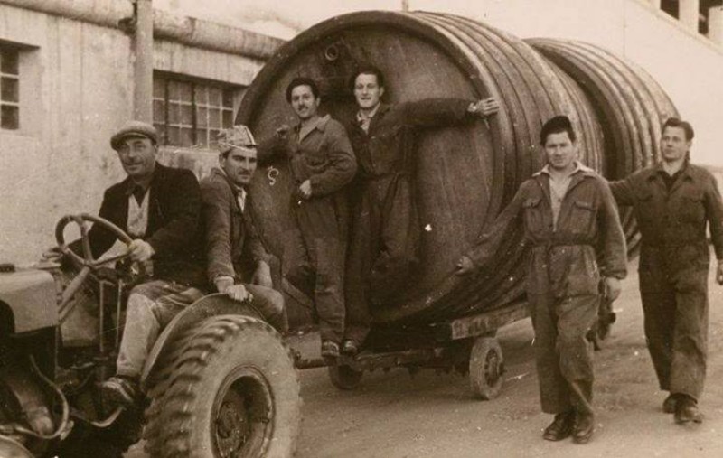 31) Grandi Birrai Pedavenesi Reparto Cantina di Stagionatura ;con il Capo De Simoi Mario e Vice Capo Sacchet Enrico (Rico da Facen ) anni 1964-65!.jpg