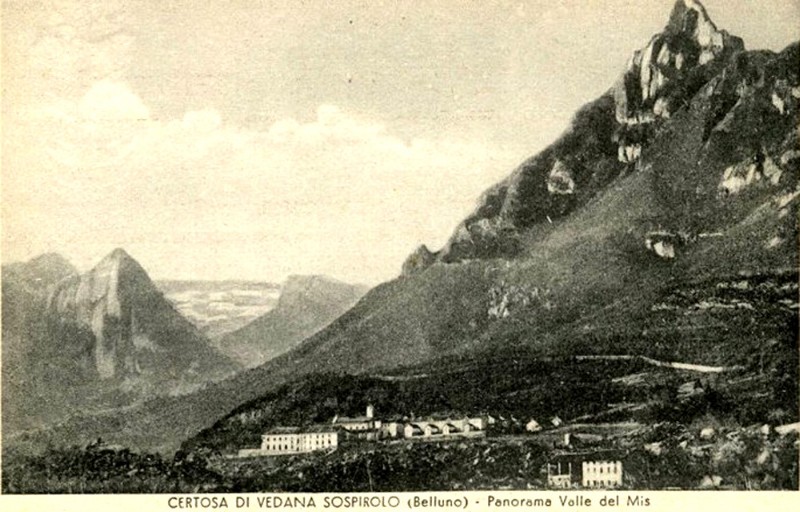 8) CERTOSA DI VEDANA SOSPIROLO (Belluno) - Panorama Valle del Mis.jpg