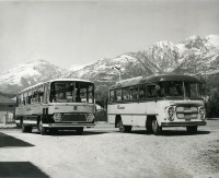 5) Fiat 309-1 del 1964 e OM Tigrotto del 1959, carozzati Pietroboni,  della ditta Monega Damiano...jpg