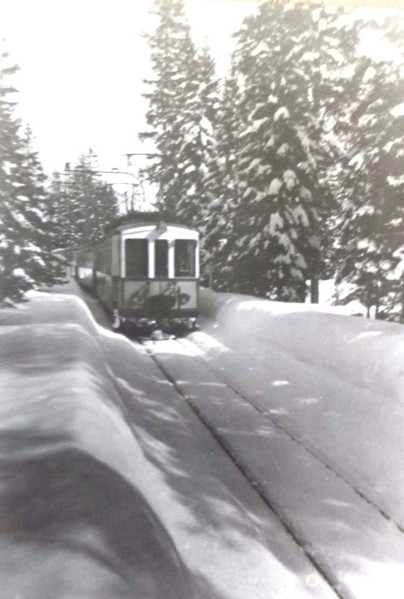 8b) Treno della Ferrovia Dolomiti in direzione Cortina tra Cimabanche e Ospitale anni '50 in uno scenario invernale unico..jpg