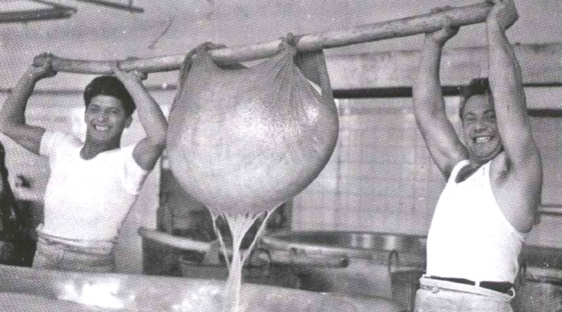 116) Operai estraggono il siera dalla pasta per la lavorazione del grana (1961).jpg