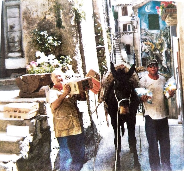 56) Galbani - Deposito di Tivoli 1993. Non c'erano ostacoli x la rete di vendita Galbani, dove non arrivavano i camioncini, c'erano i muli!.jpg