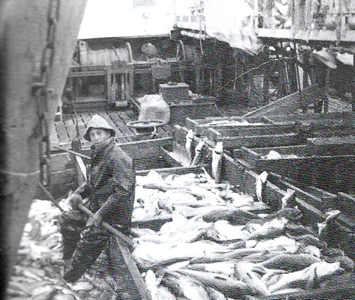 5) Prima cala al baccalà con il tranciatore Enzo Mazzone, fine Gennaio 1962..jpg