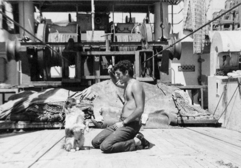 31-Verricello con rete in cala, Gennaro D'Amato e cane Bruciaferro sul Corrado III ex Genepesca X, anno 1971.jpg