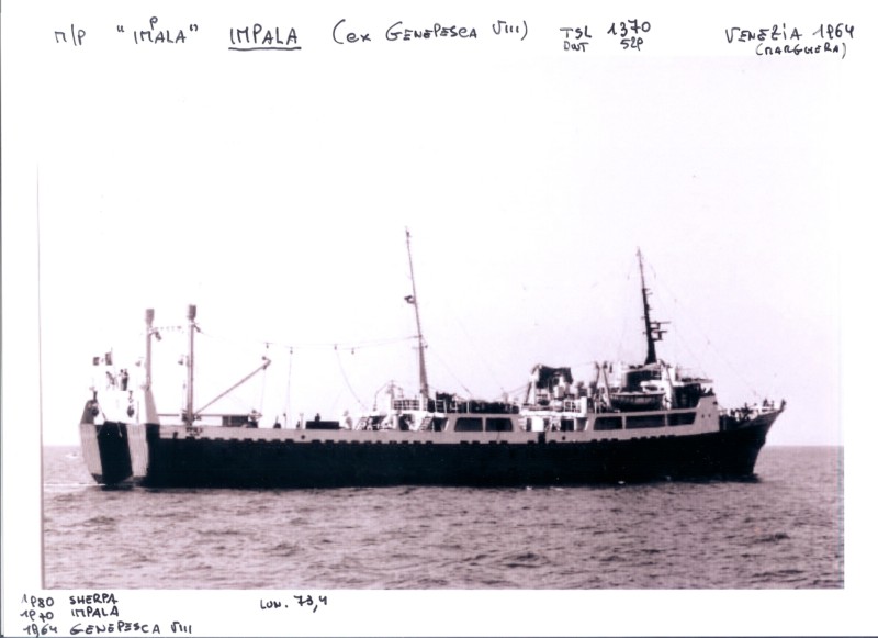 68-Mp Genepesca -VIII-.jpg