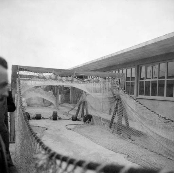 141-Visita stabilimento Genepesca Livorno anni '60..jpg