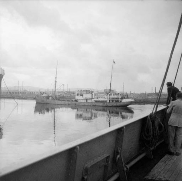 142-Visita stabilimento Genepesca Livorno anni '60..jpg