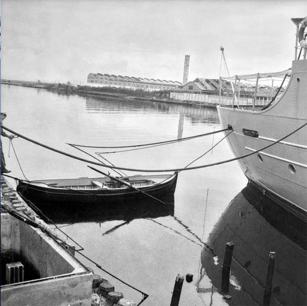 143-Visita stabilimento Genepesca Livorno anni '60..jpg