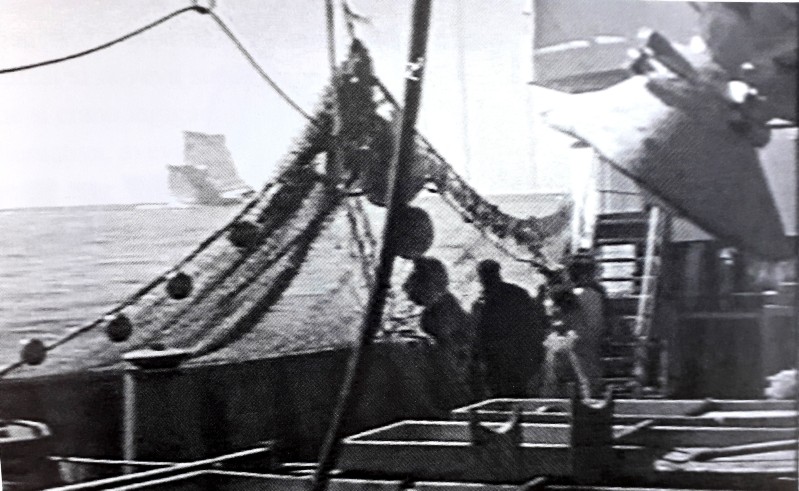 12) Il Genepesca I pronto a buttare la rete vicino all'iceberg . Si notano sulla rete le sfere di acciaio per superare scogli sul fondale. Anno 1955..jpg