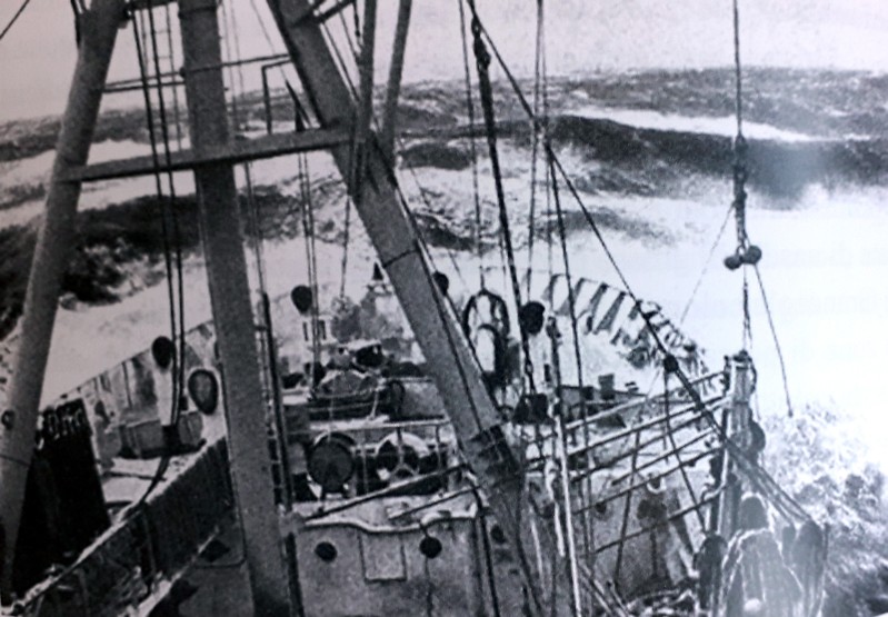 29) Genepesca I in pesca fuori della costa Argentina. Anno 1962..jpg