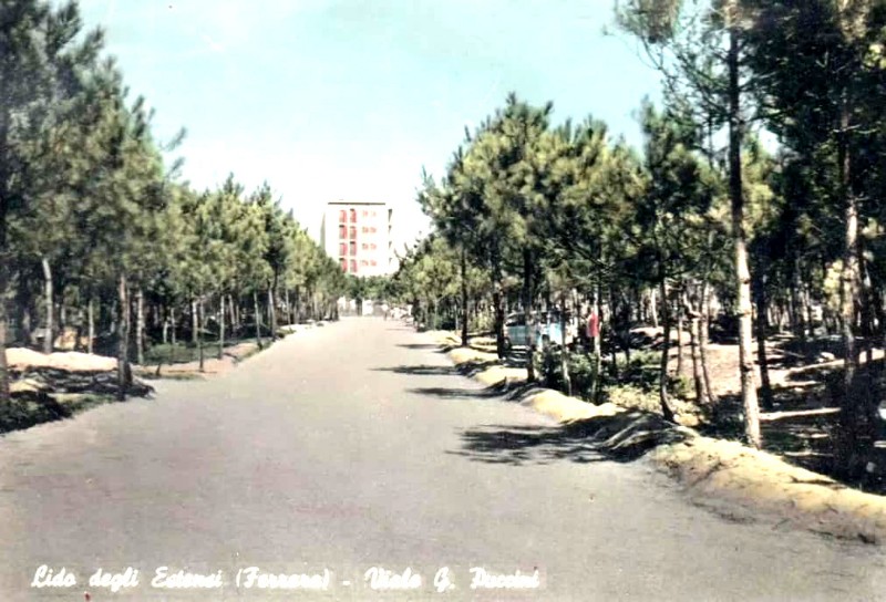 151) Lido degli Estensi - Viale Giacomo Puccini (assieme alla giovanissima pineta. Fine anni '50..jpg