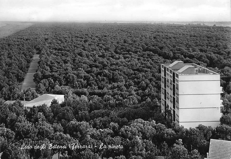 18a-Lido degli estensi anno 1960. La pineta..jpg