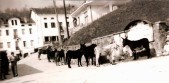 04-Asini, muli e cavalli cominciano ad arrivare in Piazzadi San Gregorio  il 1 Aprile 1966.jpg