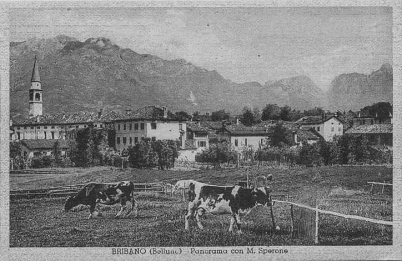 12) Bribano (BL) - Panorama con monte Sperone.jpg