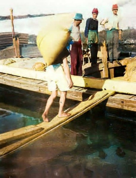 119) Salina di Comacchio.Caricamento sacchi di sale sui Betlun, mai tagliarsi col sale perche dopo sarebbe stato duro guarire, quelli che spingevono i piccoli vagoni erano quasi tutti sca.jpg