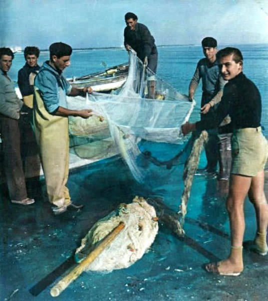 121) Fino all'inizio del '900 la pesca veniva praticata all'interno delle valli o come in questo caso nel tratto di mare in prossimità della spiaggia con i TRATTAROLI..jpg