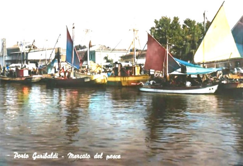 130) Porto Garibaldi - Mercato del pesce.jpg