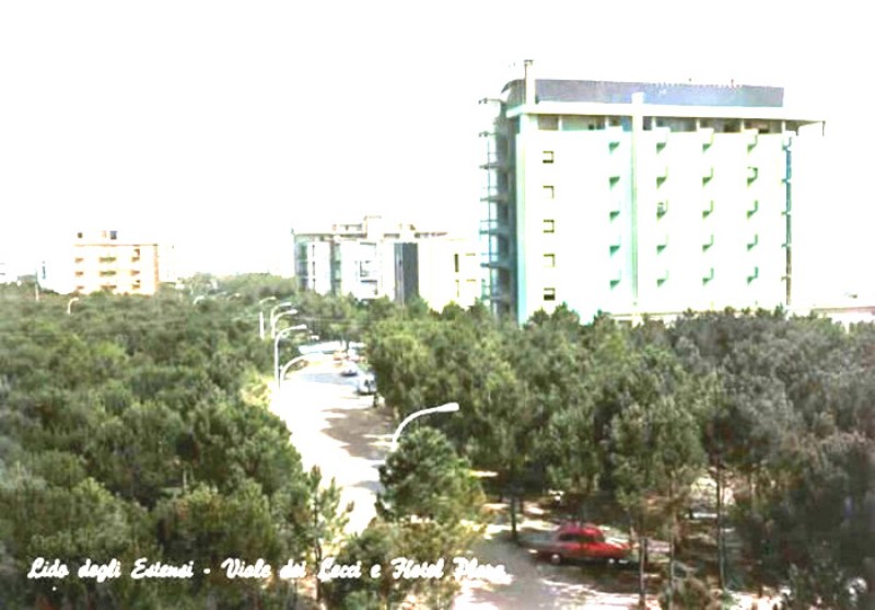 172)  Lido degli Estensi con il Viale dei Lecci (con l'Hotel Plaza sullo sfondo, anni '60..jpg