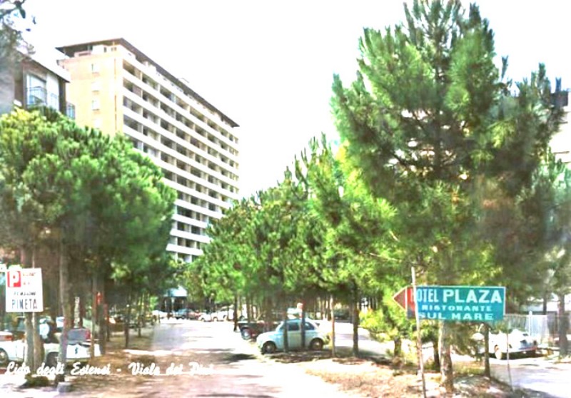 173) Lido degli Estensi - Viale dei Pini..jpg