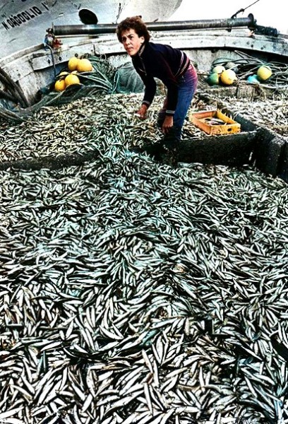 2) Dopo un giorno di pesca, anno 1973. Nella foto Luigi Nordi detto Musina..jpg