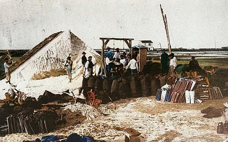 26) Le saline. I coppi sopra i mucchi del sale.La pioggia in questo modo non si sarebbe portata via l'oro bianco..jpg