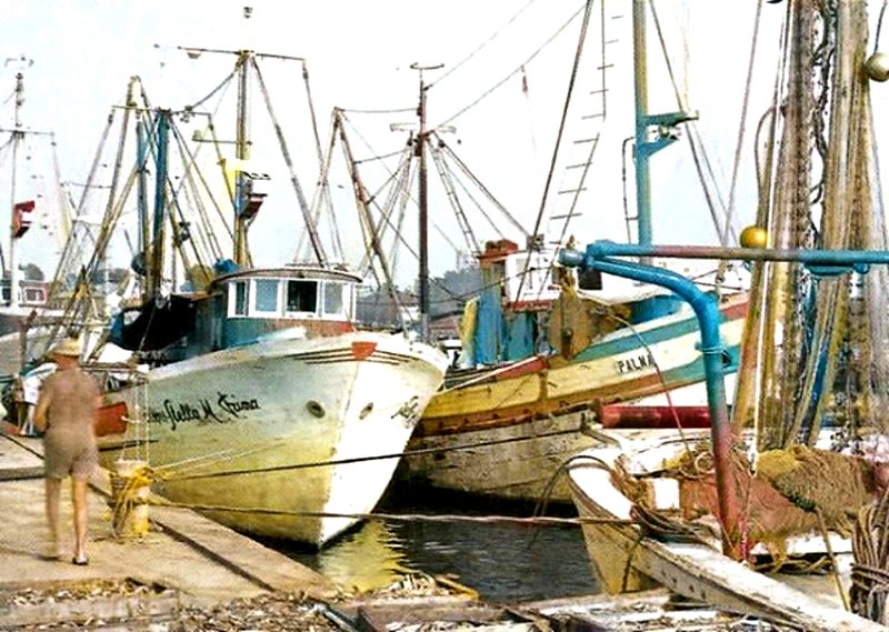 308) Porto Garibaldi - Lido degli Estensi (FE) com'era negli anni '60.jpg