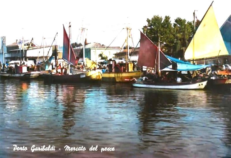 365) Porto Garibaldi mercato del pesce..jpg