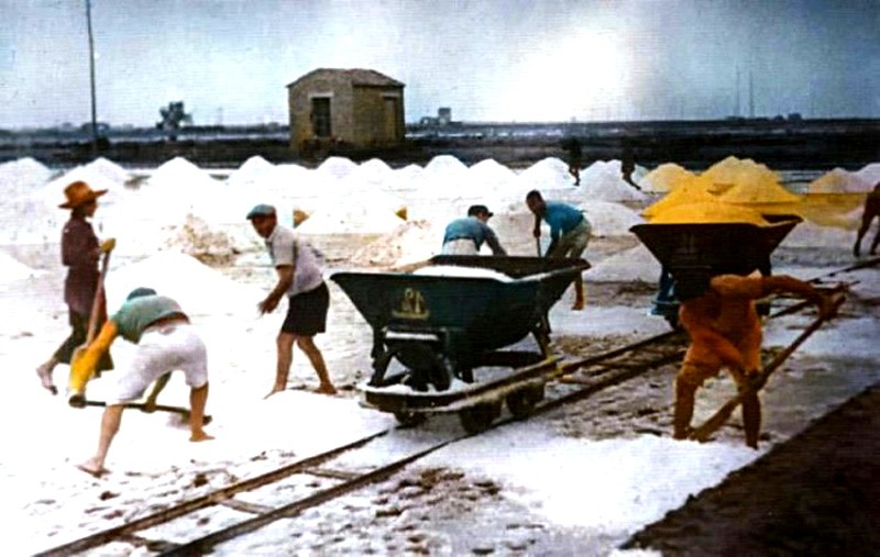 66) Fin dall'antichità, Comacchio é stata una grande fornitrice di saleper tutta l'Italia settentrionale, nel 1984 cessò la produzione del sale per diventare un'oasi di protezione della f.jpg