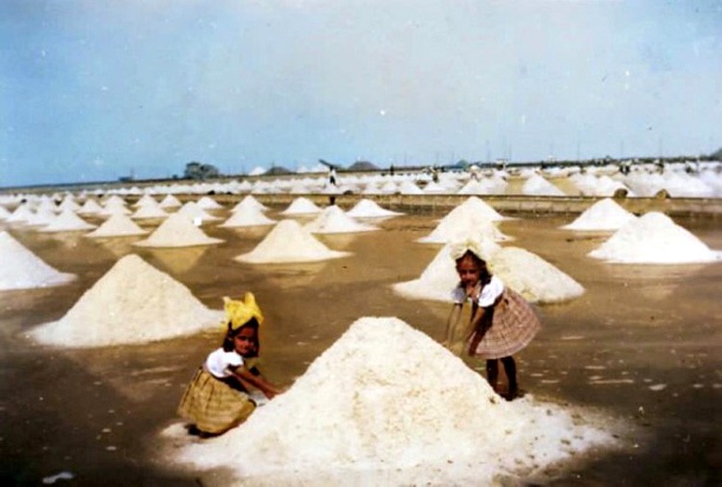 67) Le saline di Comacchio..jpg