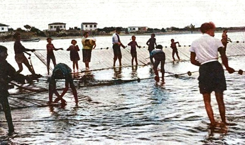 73) Primi '900, Magnavacca la pesca con la -tratta in -marina- fatta nel mare prospicente alla spiaggia dai TRATTAROLI.jpg