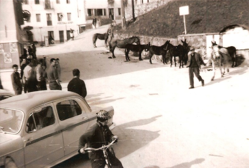 73-Pesce del primo Aprile 1966... tutti gli asini si presentino in piazza!  Il personaggio Tranquillo Argenta, “al Baio”, studia e tenta la cavalcata dell'indomabile ciuco.jpg