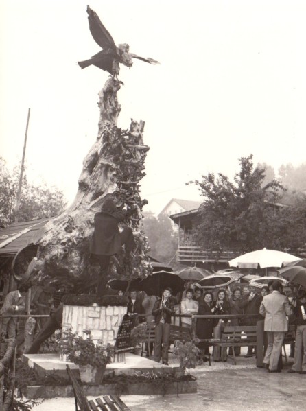 78b-SAN GREGORIO NELLE ALPI - CARTOLINA FOTOGRAFICA (BELLUNO.jpg