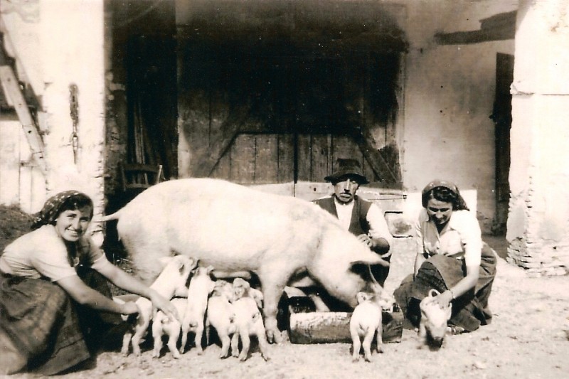 21a-Si mangia alla grande ....jpg