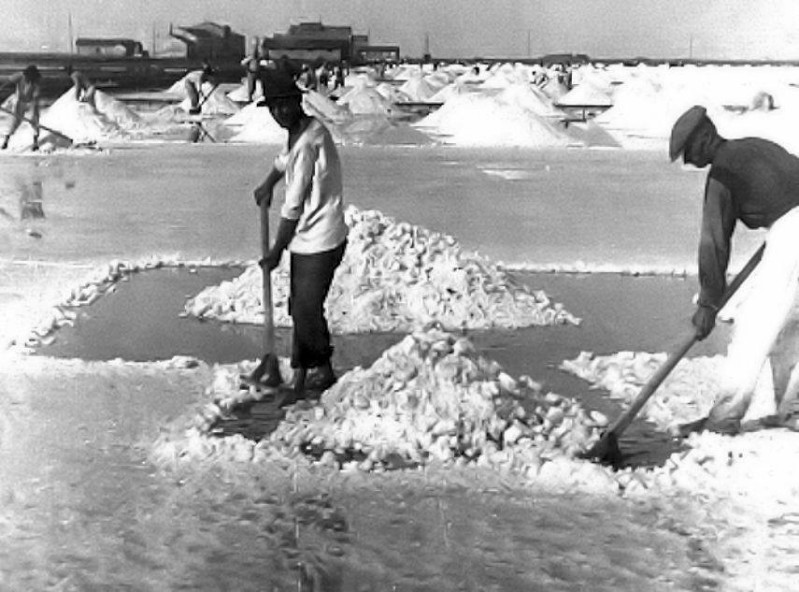 34c-La salina di Comacchio-Si avevono anche i pertichini, ma usavono delle palettine, io mi ricordo il sale a blocchi , sembrava quarso o diamante. mai tagliarsi col sale !.jpg