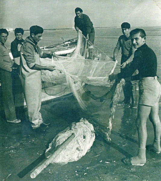 35h-Fino all'inizio del '900 la pesca veniva praticata all'interno delle valli o come in questo caso nel tratto di mare in prossimità della spiaggia con i TRATTAROLI..jpg