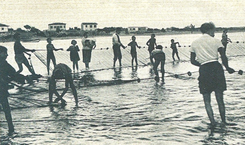 36b-Primi '900, Magnavacca la pesca con la -tratta in -marina- fatta nel mare prospicente alla spiaggia dai TRATTAROLI.jpg