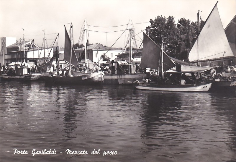 39h-Porto Garibaldi - Mercato del pesce.jpg