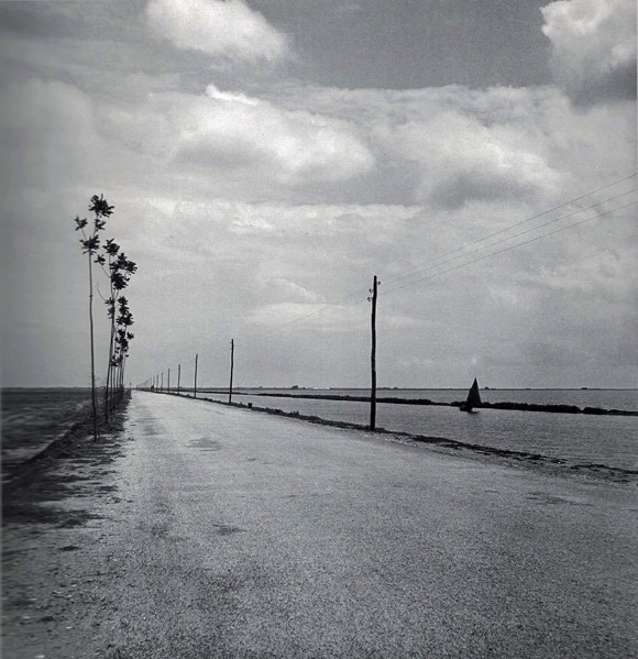 42f-Via Marina, la strada che collega Comacchio a Porto Garibaldi, nei primi anni '50..jpg