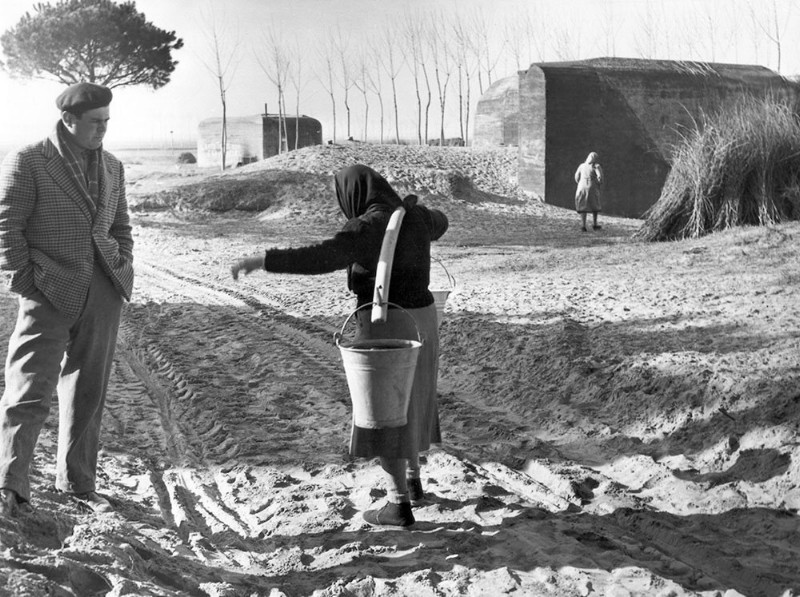 151c-Bunker di Mesola anno 1951. 7 nella pineta delle Motte, 9 nella pineta del Fondo e 3 vicino all'incrocio fra la vecchia Romea e la strada per Goro, attuale Zona Artigianale.jpg