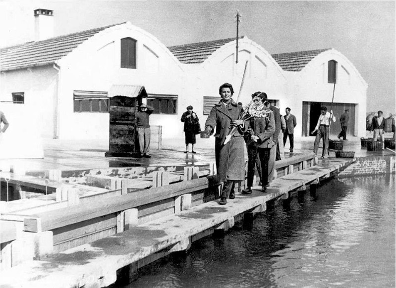 240c-1954 Sophia Loren in valle..jpg