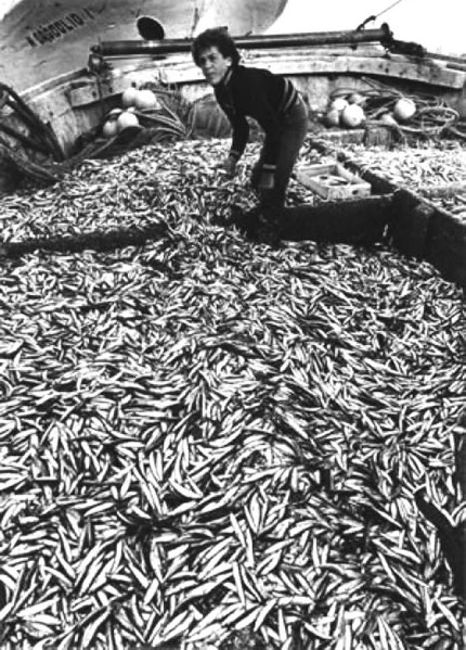 279q-Dopo un giorno di pesca, anno 1973. Nella foto Luigi Nordi detto Musina..jpg