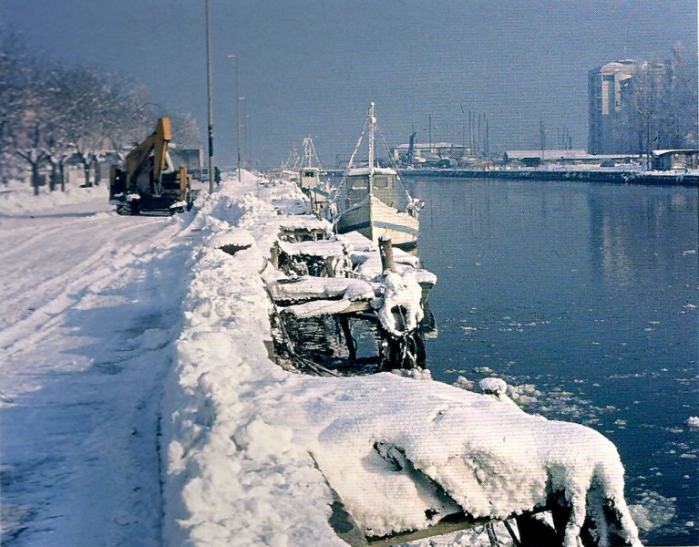 285a-La nevicata del 1985.jpg