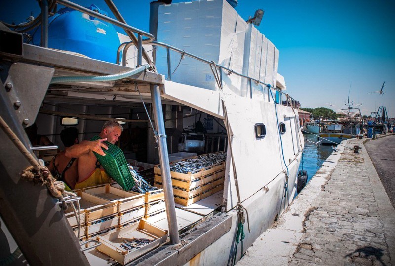 300e-Ogni mattina Porto Garibaldi si sveglia con l'arrivo delle barche al porto, cariche del pescato del giorno che è possibile acquistare direttamente sulla banchina..jpg