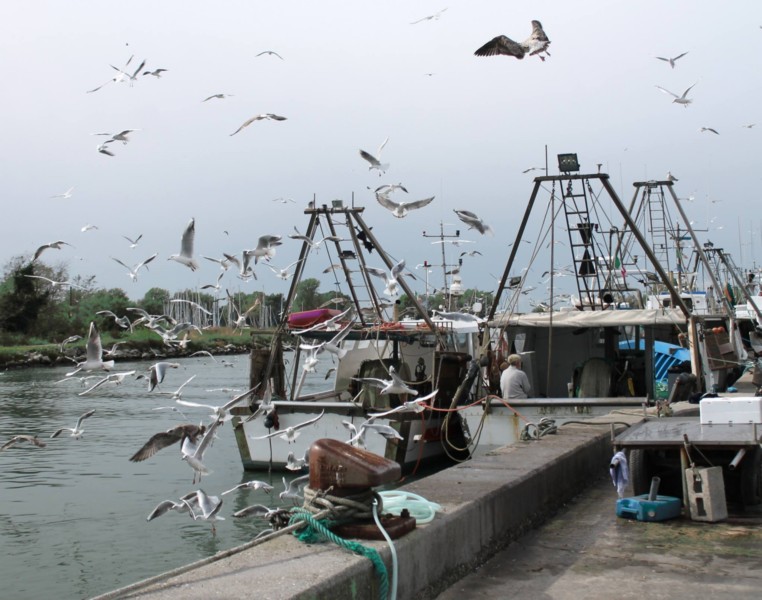 302) Porto Garibaldi - Arrivo di Pescherecci.jpg